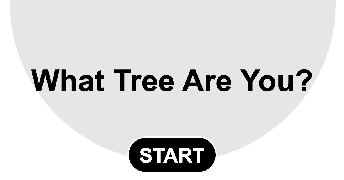 What Tree Are You?