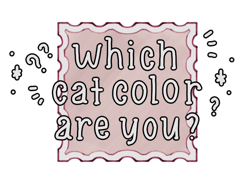 Cover Image / Apply Template Edit