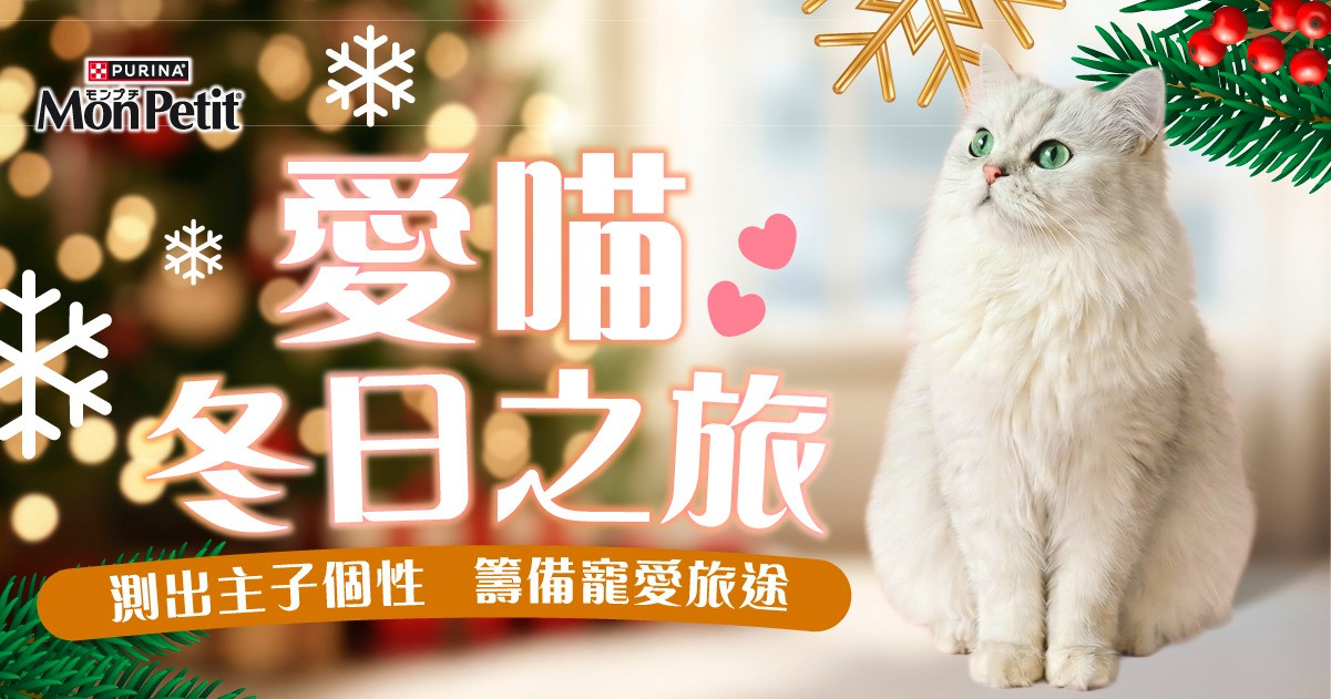 愛喵冬日之旅
