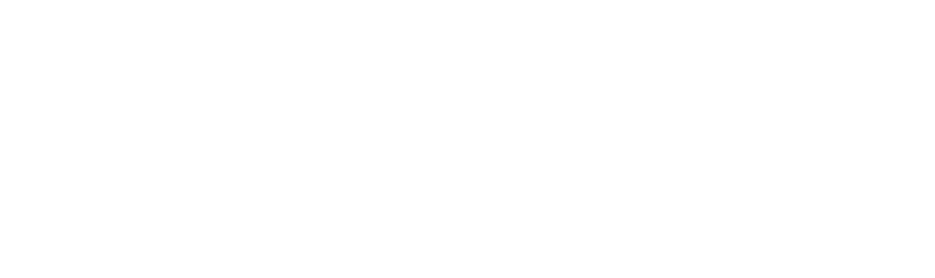 Project Logo