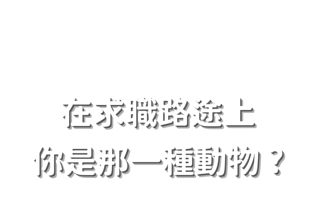專案視覺/GIF