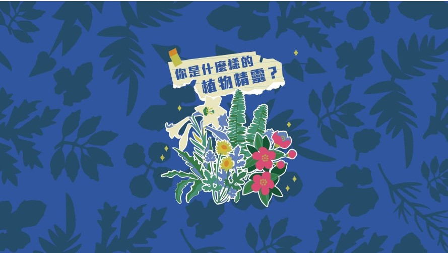 你是什麼樣的植物精靈？