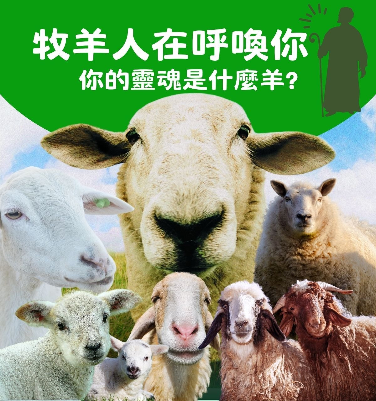 專案視覺/GIF