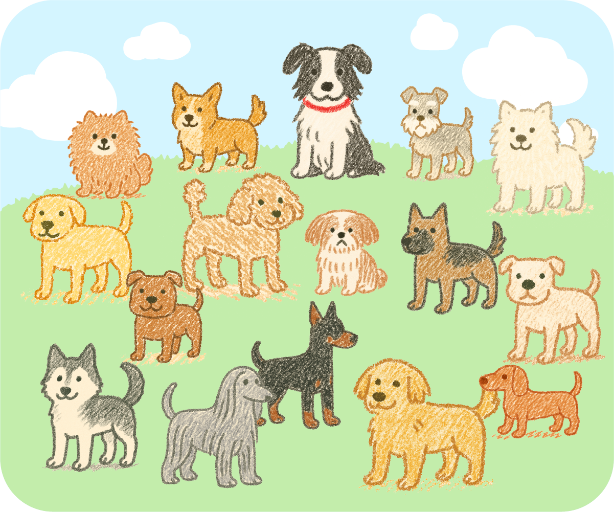 ภาพ/ GIF ของโครงการ
