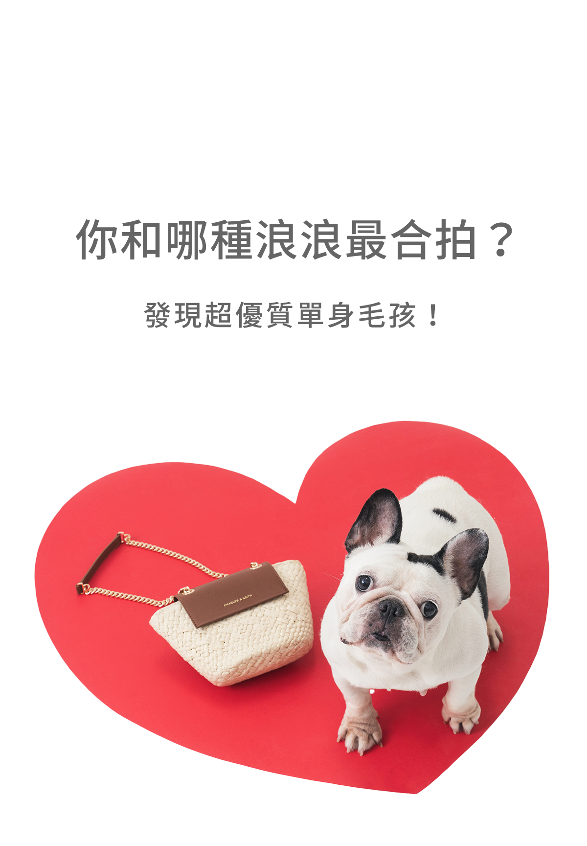 專案視覺/GIF