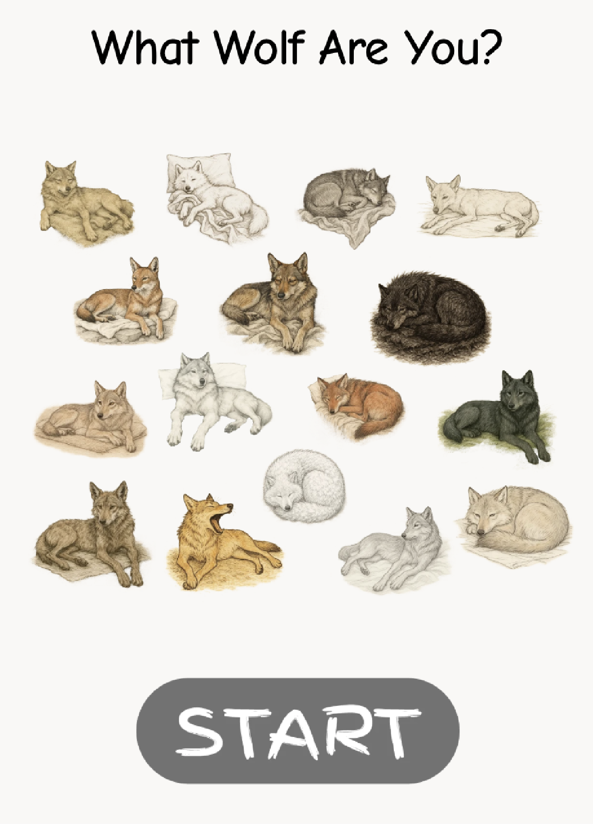 What Wolf Are You?