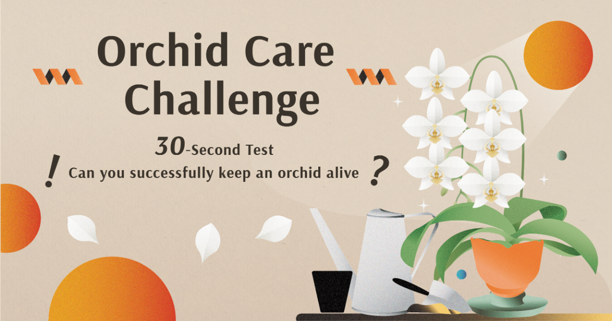 Knowledge Challenge