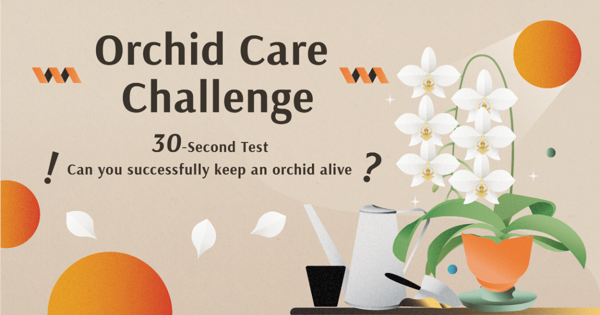 Orchid Care Challenge