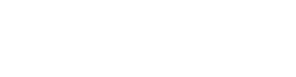 Project Logo