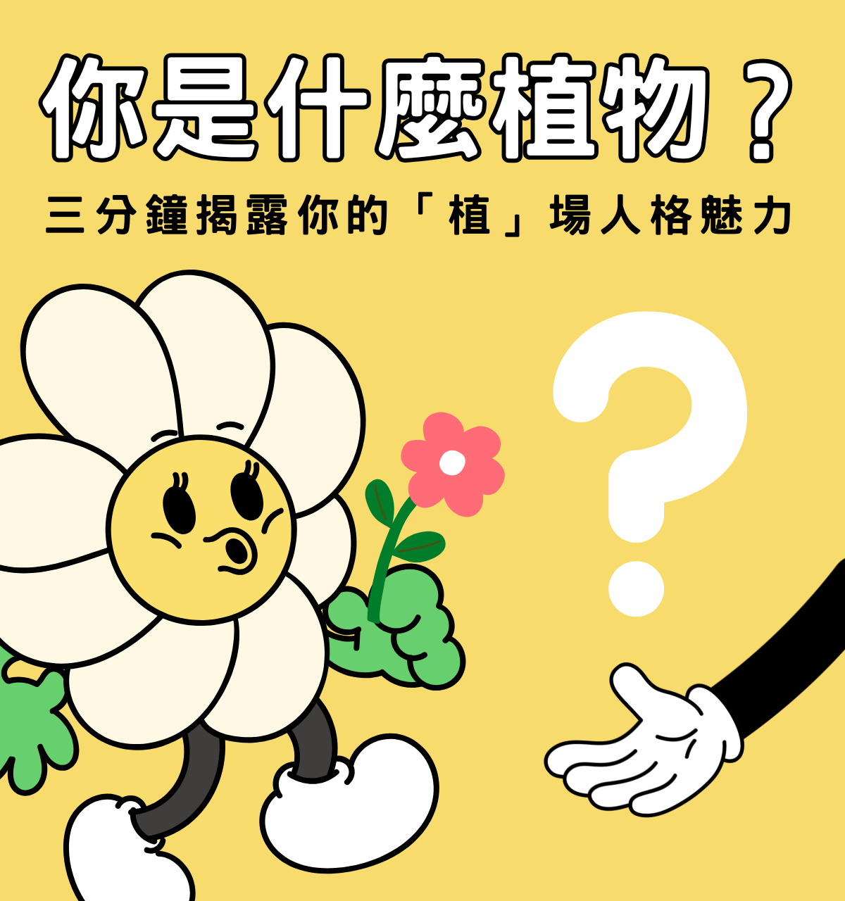 專案視覺/GIF