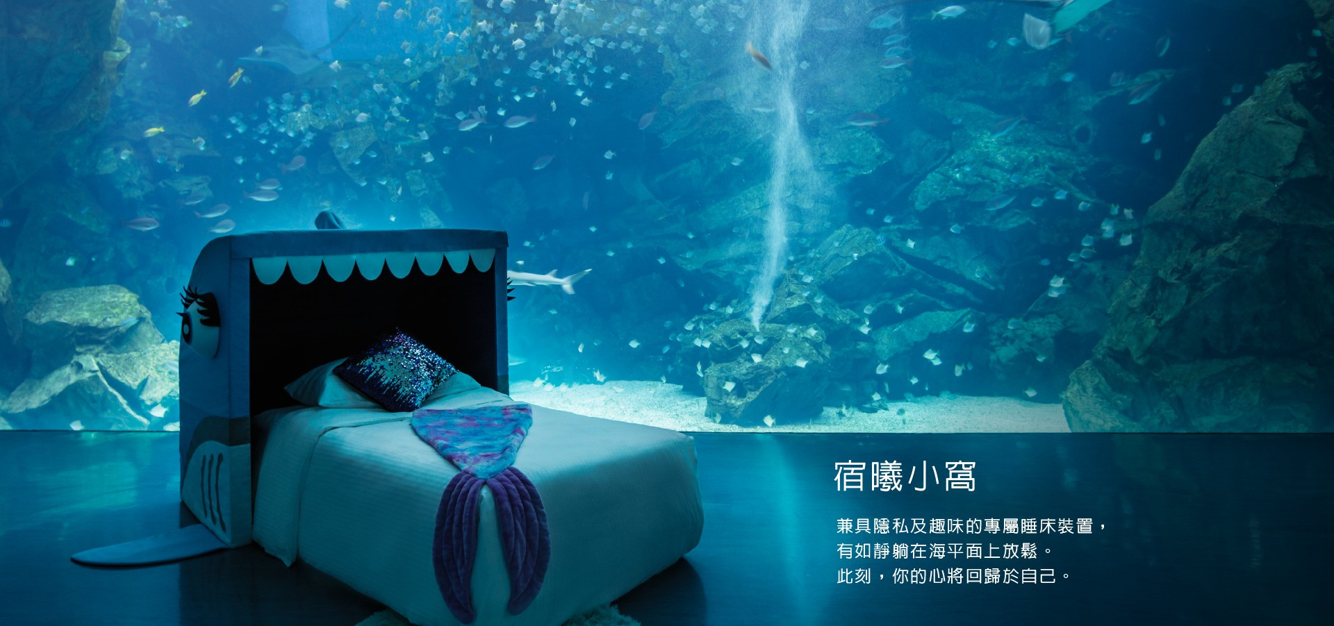 更新封面圖