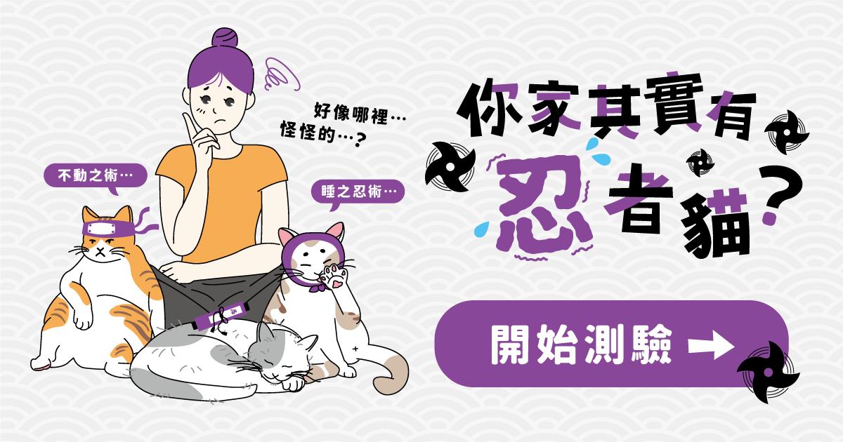 你家貓咪好像在忍痛?!快一起來檢測你家的貓貓忍耐指數吧！